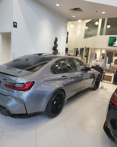 Hamel BMW - Visual