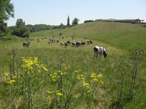 Gers Réservation - Gers Tourisme en Gascogne - Thumbnail
