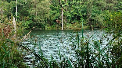 Danau Bening East Kalimantan Indonesia