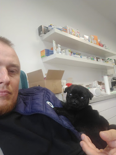 Przychodnia weterynaryjna i wizyty domowe Mikołaj Chodyra - Weterynarz