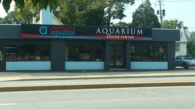 Armco Aquatics