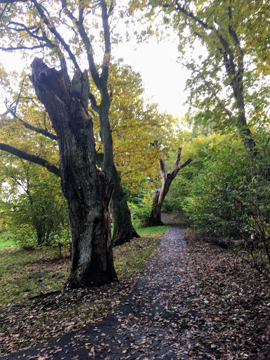 Krokängsparken - Thumbnail