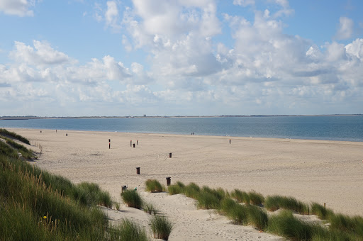 Camping "De Vrijheid" Gallery - Netherlands
