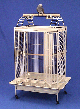 Rene's Exotic Parrots Gallery - United States