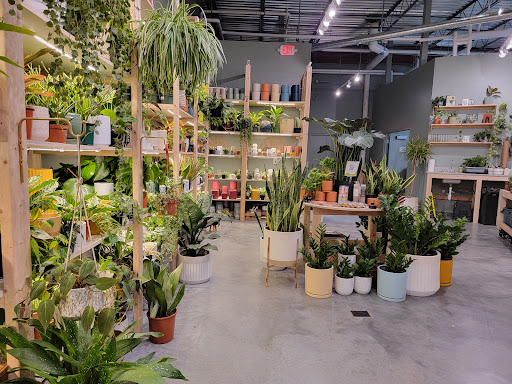 PlantHouse - Visual