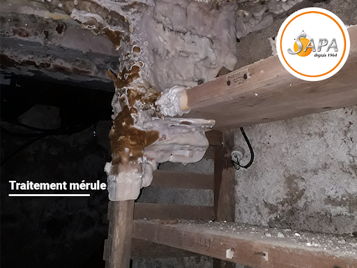 SAPA 65 - Traitement Bois Termites - Thumbnail
