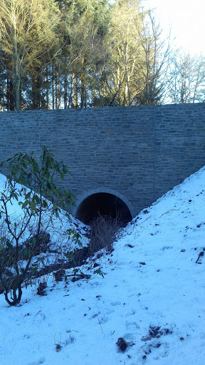 Caird Park - Thumbnail