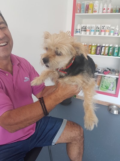 Photos of V3ts Veterinary Clinic