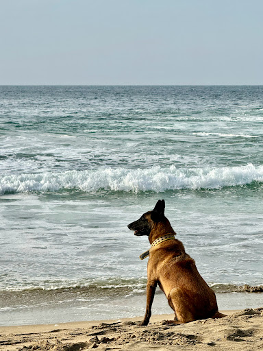 Playa del Destino Gallery - Mexico