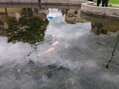 Photos of Quetzal (de los peces) Park