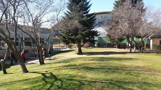 Baloncesto Torrelodones - Thumbnail
