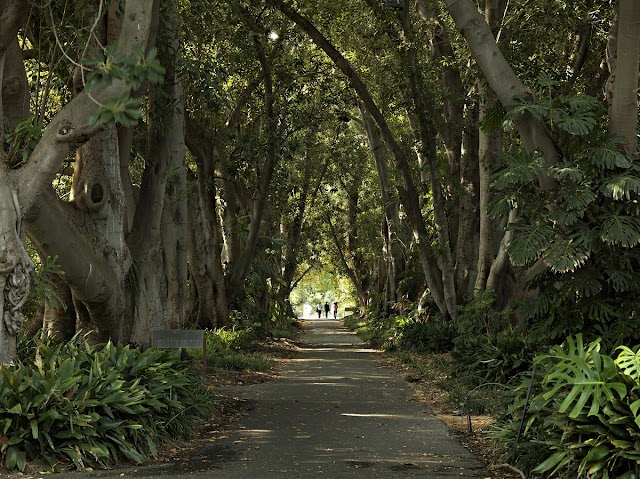 Adelaide Botanic Garden