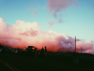 Puʻu ʻUalakaʻa State Wayside