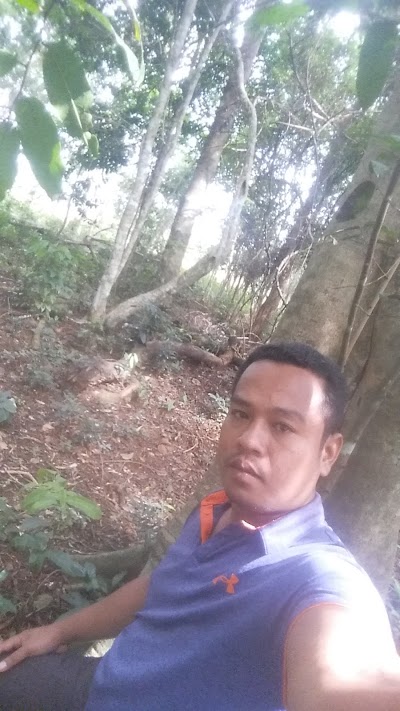 Photos of Dakdam Waterfall