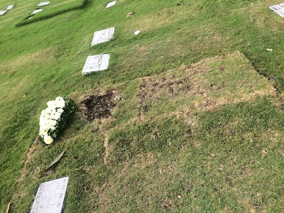 Photos of Esperanza Garden