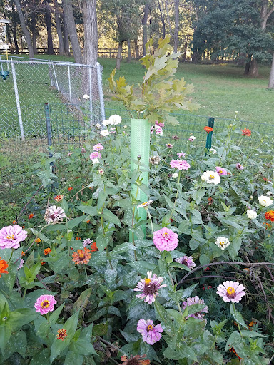 Unglesbee Park - Thumbnail