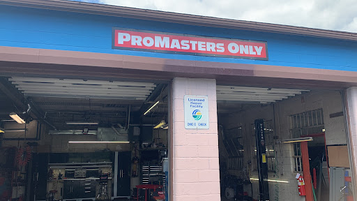 Promasters Only - Visual