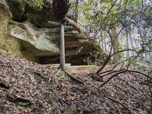 Roman’s Den