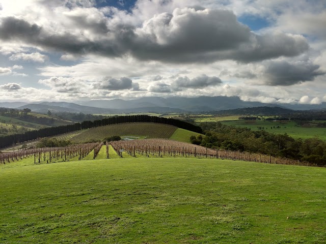 Hanrahan Vineyards