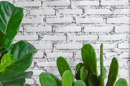 Exotic Taste 9020 N 103rd Ave, Sun City, AZ 85351, United States