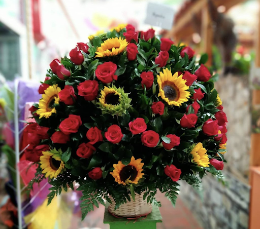 Forest Flowers - Visual