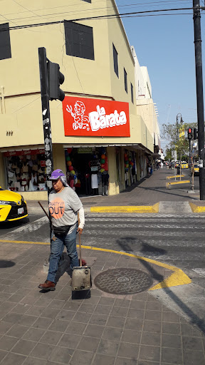 La barata Colima - Visual