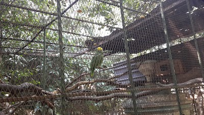 Photos of Restaurante El Ocotal