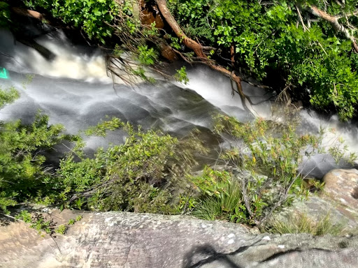 Oxford Falls Waterfall - Thumbnail