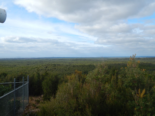 Counsel Hill conservation Area