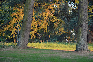 Photo n°13 de La Bastide rouge à Saint-Geniès-Bellevue (Séminaire)