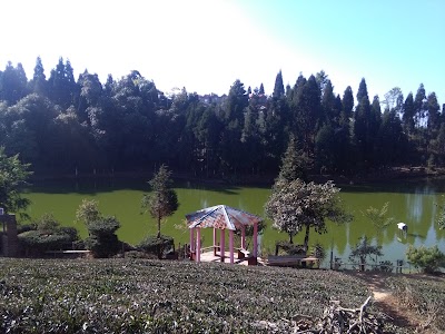 Photos of Antu Cottage