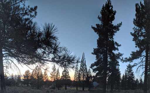 Frazier Park Campsite
