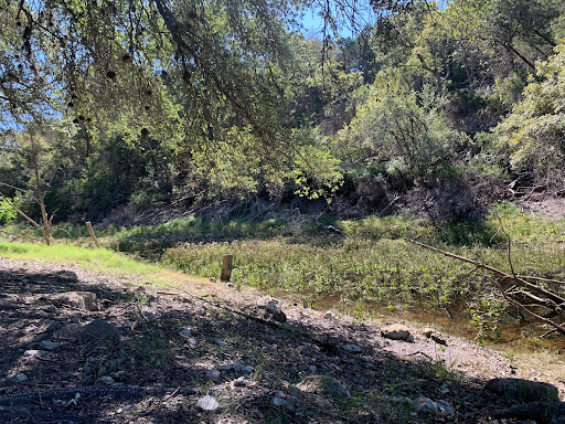 Mount Lakeway Trailhead - Thumbnail