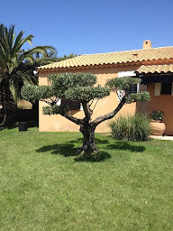 Photo n°5 de Paysage Provençal à Pélissanne (Service d'élagage)