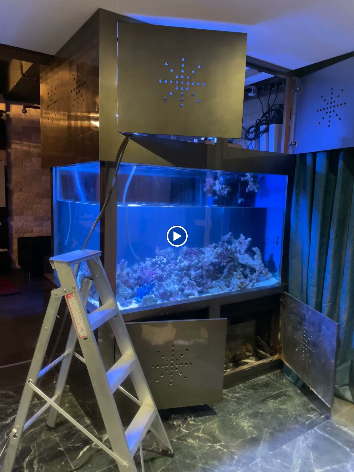 FishTank - صورة 3