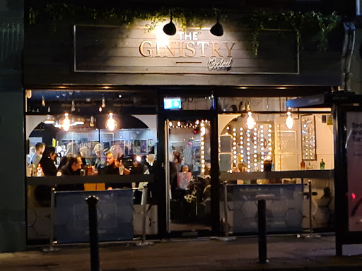 The Ginistry - Thumbnail