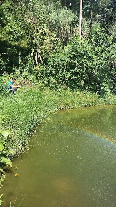Photos of Finca Agua Bonita