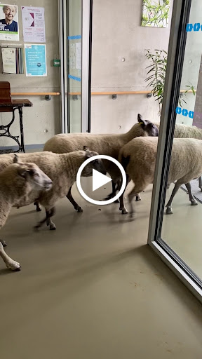 Photo de EHPAD Hector Berlioz (Groupe SOS Seniors) à Bobigny (93000)