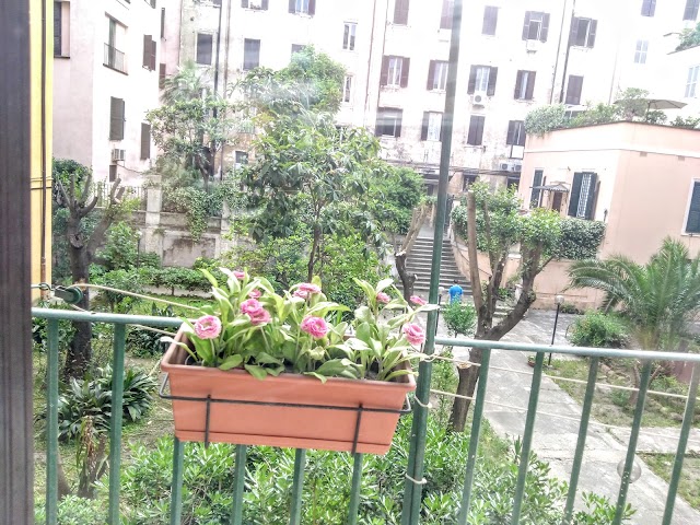 Ad Hoc Domus