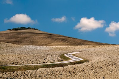 Guida Turistica Siena e provincia Sara Mammana