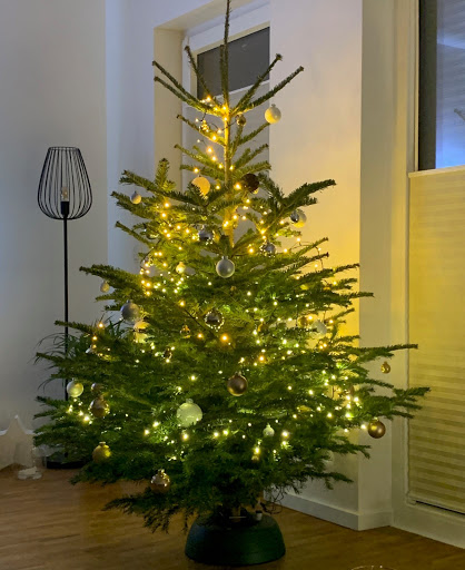 Weihnachtsbaumland.de - Thumbnail