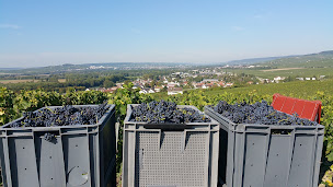 Photo n°32 de Chambres d'hôtes Terres Jaunes à Avenay-Val-d'Or (Chambre d'hôtes)