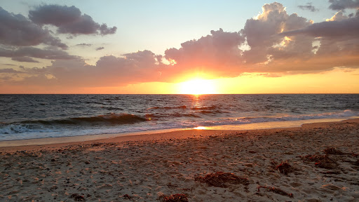 Lauren Barrett LPC CADC