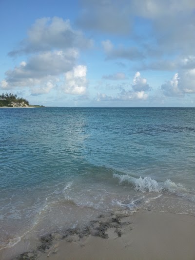 Photos of Conch'd Out