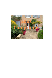 Photo n°20 de Thierry FORNIELES - Safti Immobilier Isle (87170) à Isle (Consultant immobilier)