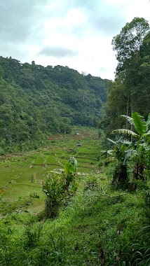 Bumi Perkemahan Lebakciherang - TNGGP, Author: Ayi Rustiadi