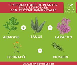 Photo n°6 de Jovia Boutique: Vente de tisane en vrac éco-responsables à Montrieux-en-Sologne (Magasin de thé)