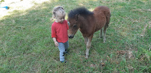 Photo n°17 de L'amiso connexion animale à Plumelec (Programme de bien-être)