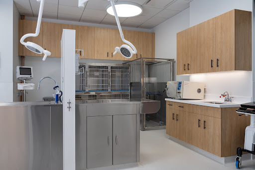 Scout Veterinary Care - Thumbnail