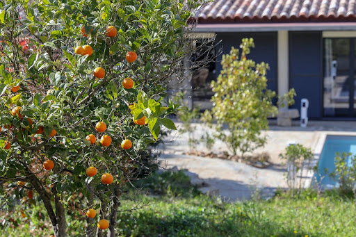 Photo de Hôtel Le Grecale à Figari (20114)